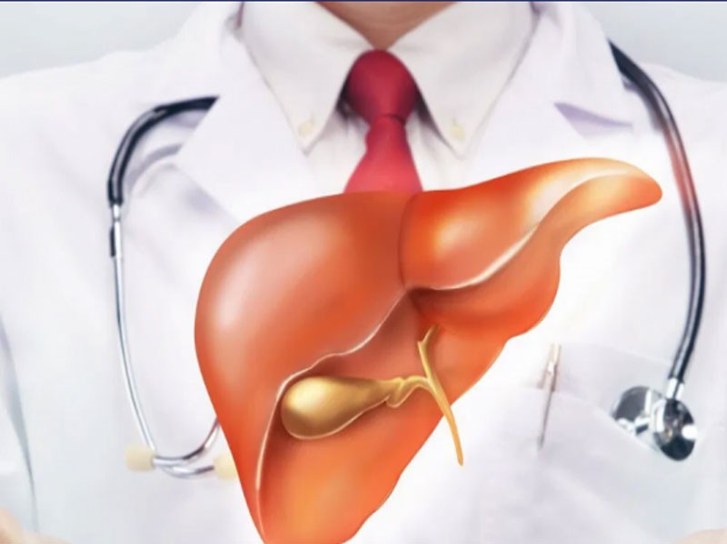 خواص بسیار عالی گزانگبین، سلامت کبد