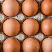 تخم مرغ در تولید گز