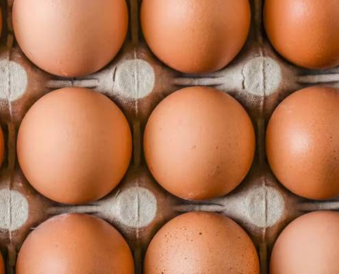 تخم مرغ در تولید گز