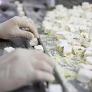 نکات مهم در تهیه گز